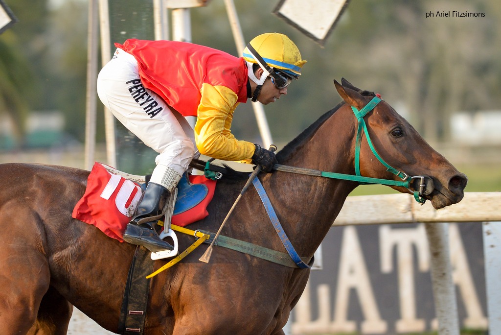 Muscarian (Master Of Hounds) se impuso en Condicional (1200m-Arena-LP). - Staff ElTurf.com