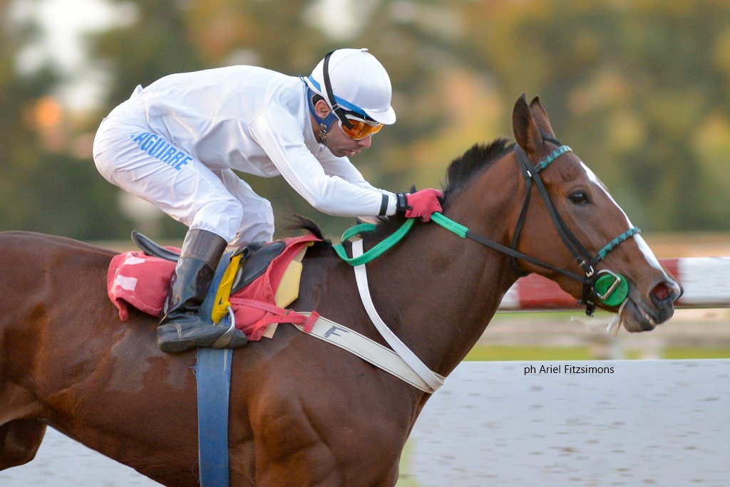 Civil Liberty (Campanologist) se impuso en Condicional (1200m-Arena-LP). - Staff ElTurf.com