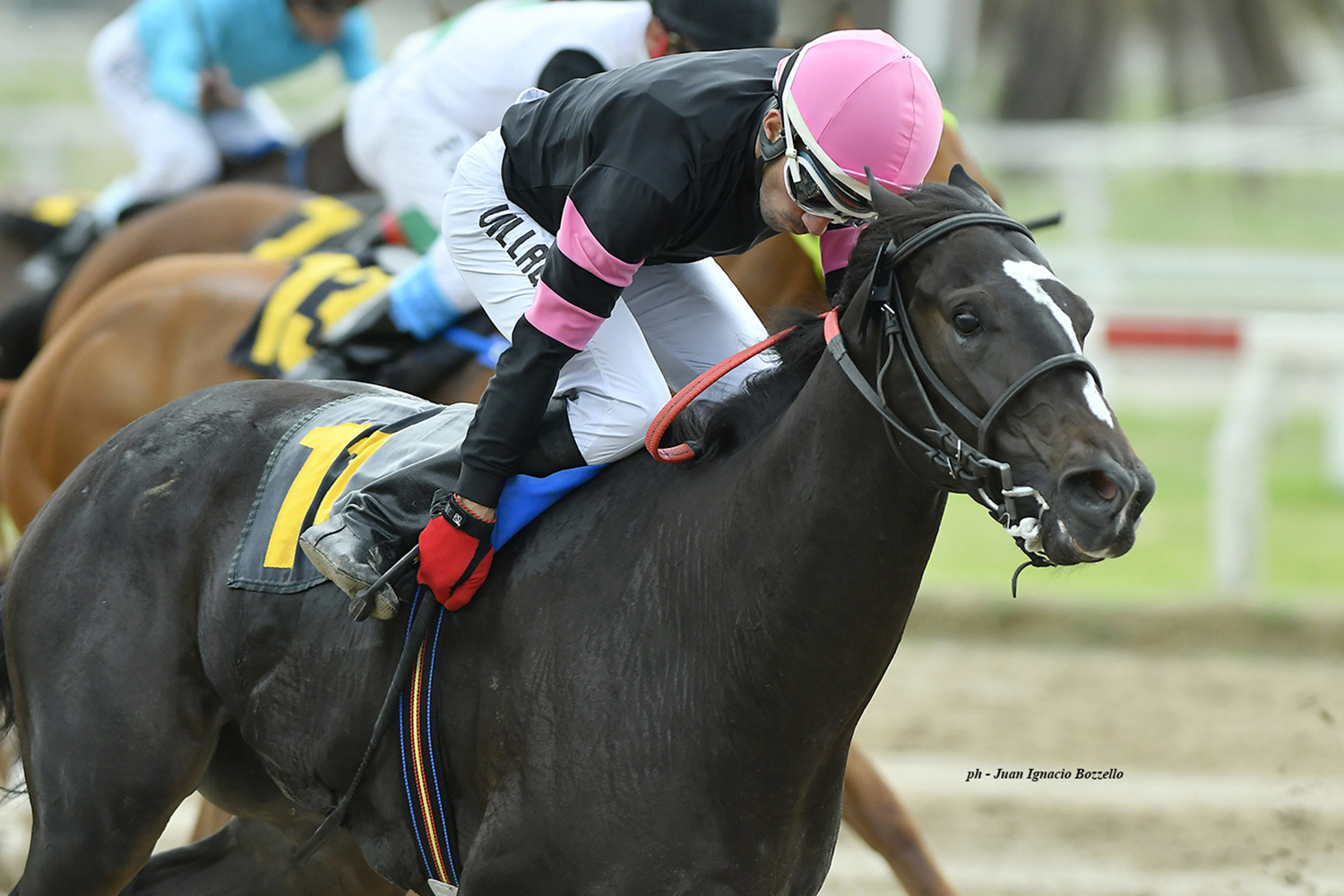 Little J (J Be K) se impuso en Condicional (1000m-Arena-PAL). - Staff ElTurf.com