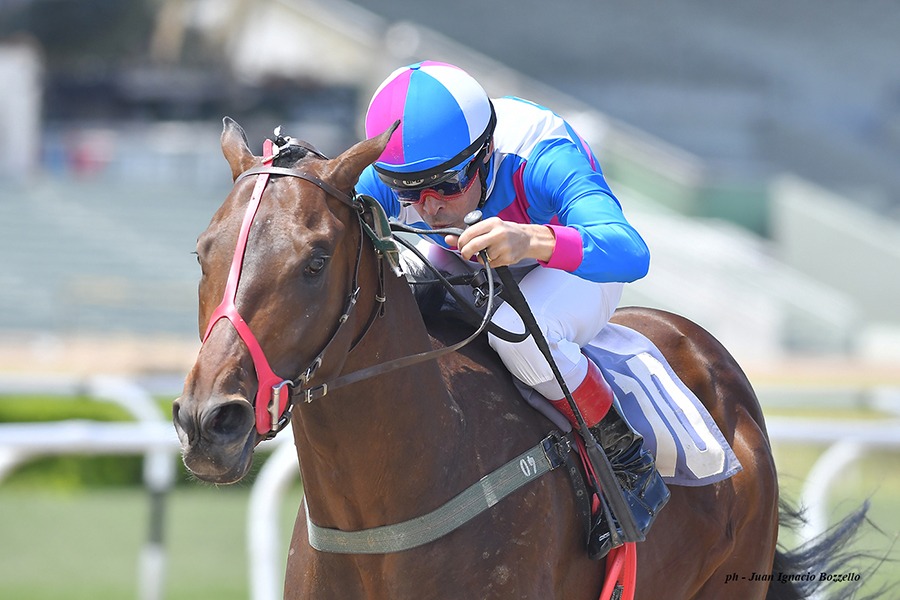 Mapuche Rye (Catcher in the Rye) gana Condicional (1100m-Arena-SI). - Staff ElTurf.com