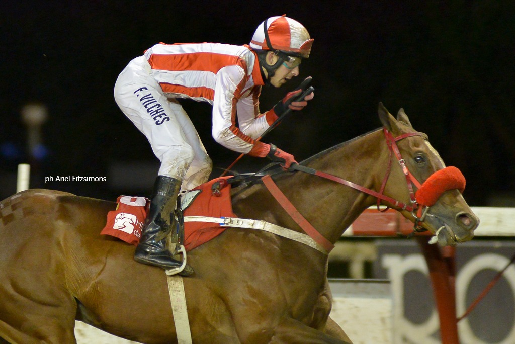 Creevy Rye (Catcher in the Rye) conquistó Condicional (1400m-Arena-LP). - Staff ElTurf.com