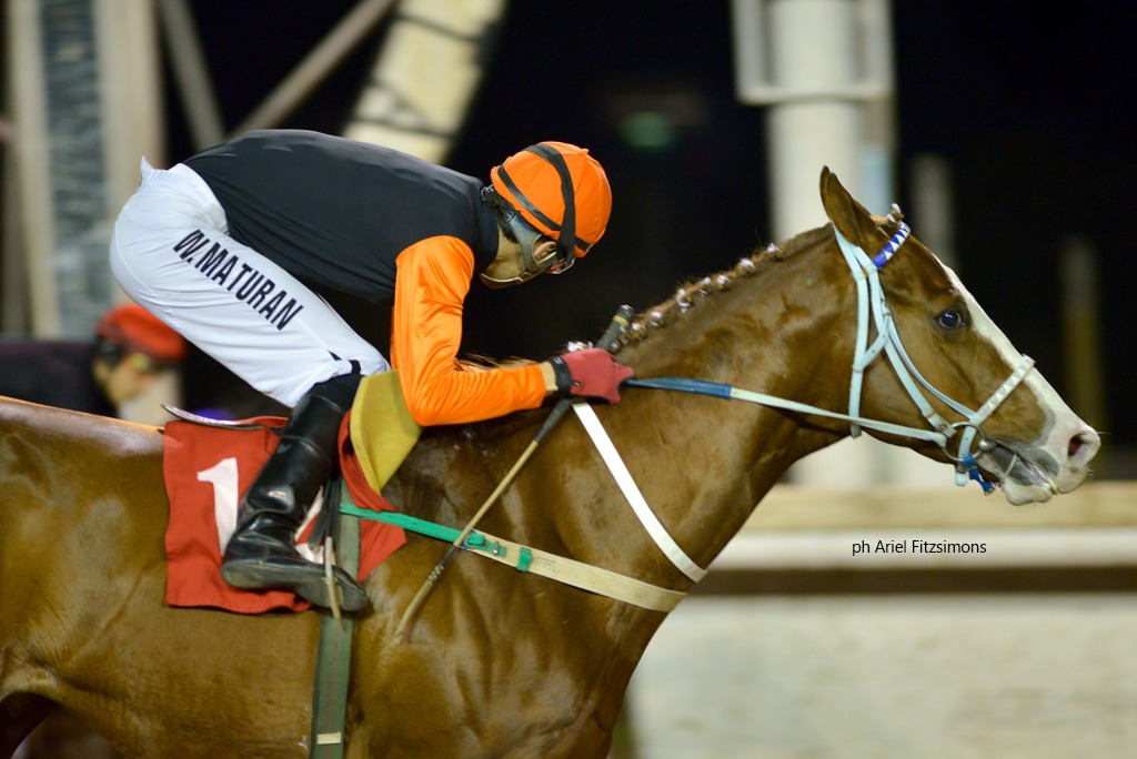 Acullico (South Kissing) ganó Condicional (1200m-Arena-LP). - Staff ElTurf.com