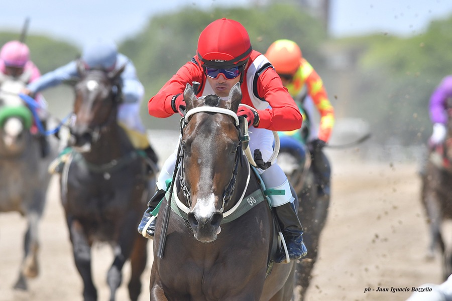 Irlandes Calmo (Stay Thirsty) gana Condicional (1100m-Arena-SI). - Staff ElTurf.com