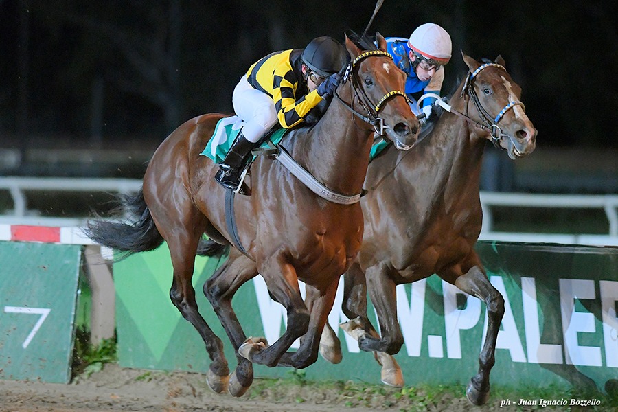 Gotham (Mutakddim) se queda con el Clásico Old Man (G3-1400m-Arena-PAL). - Staff ElTurf.com