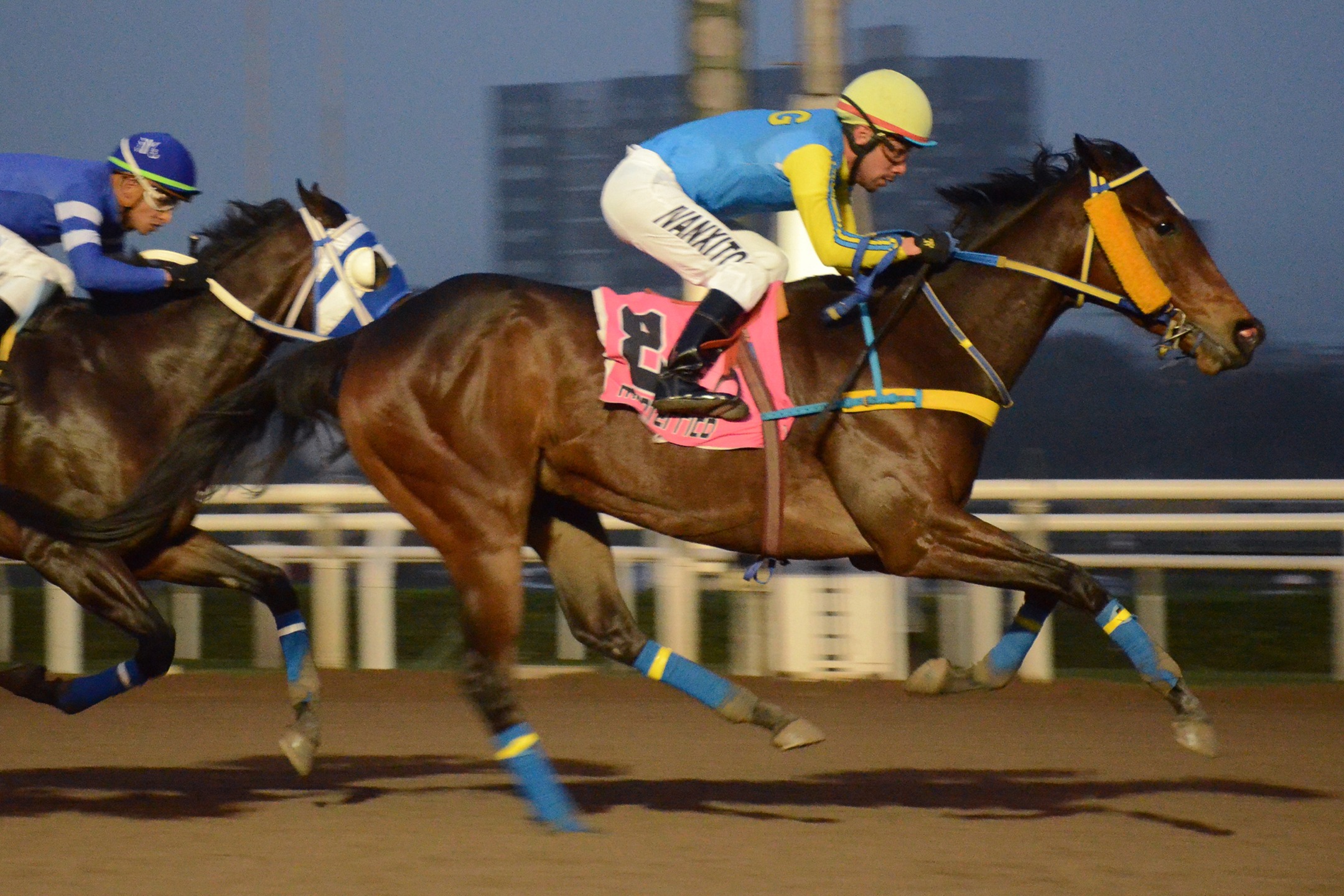 Profecia (Dominguin) conquista Condicional (1000m-Arena-MONT). - Staff ElTurf.com