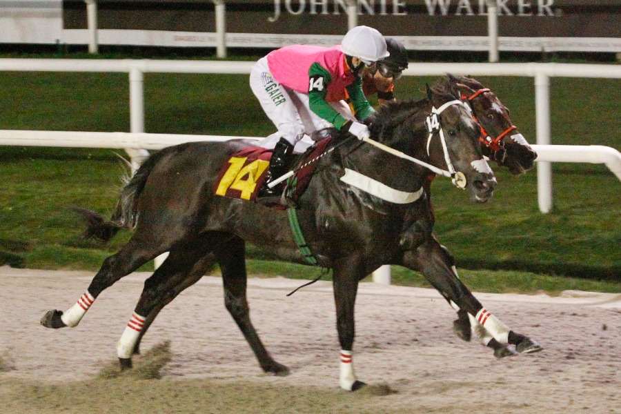 Humo Blanco (Shark) se queda con Handicap (1300m-Arena-MAR). - Staff ElTurf.com