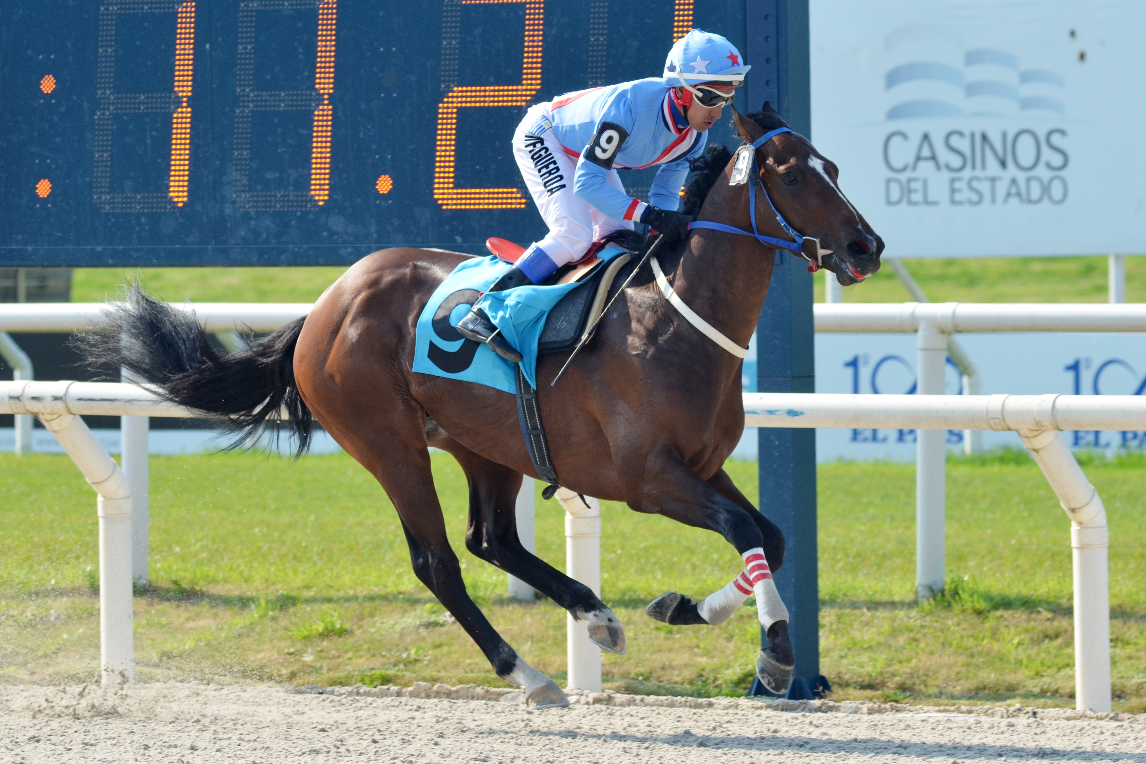 El Seductor (Ecclesiastic) se quedó con la victoria en Condicional (1200m-Arena-MAR). - Staff ElTurf.com