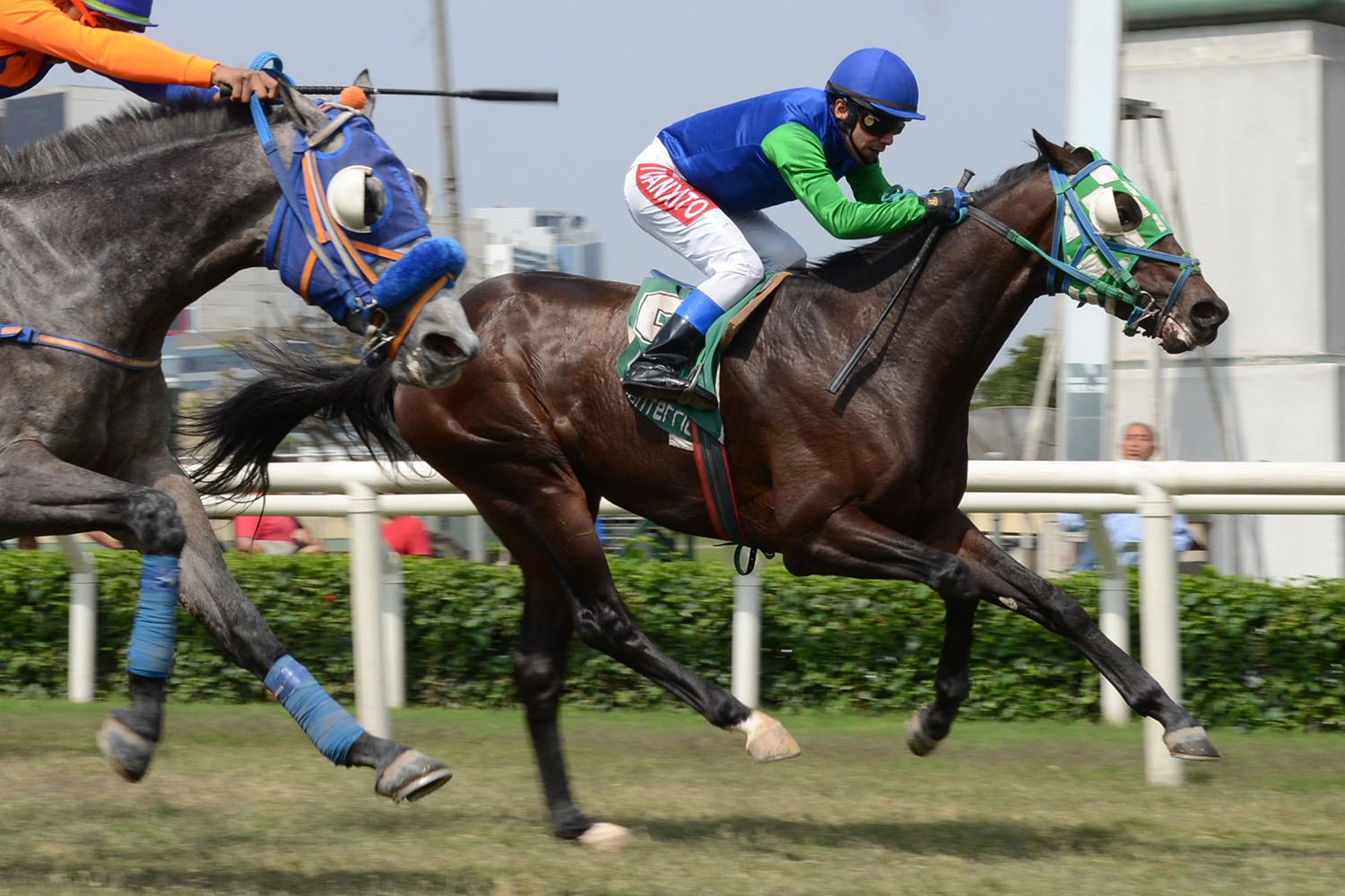 El Guapo (Preachintothedevil) se queda con Condicional (1600m-Pasto-MONT). - Staff ElTurf.com