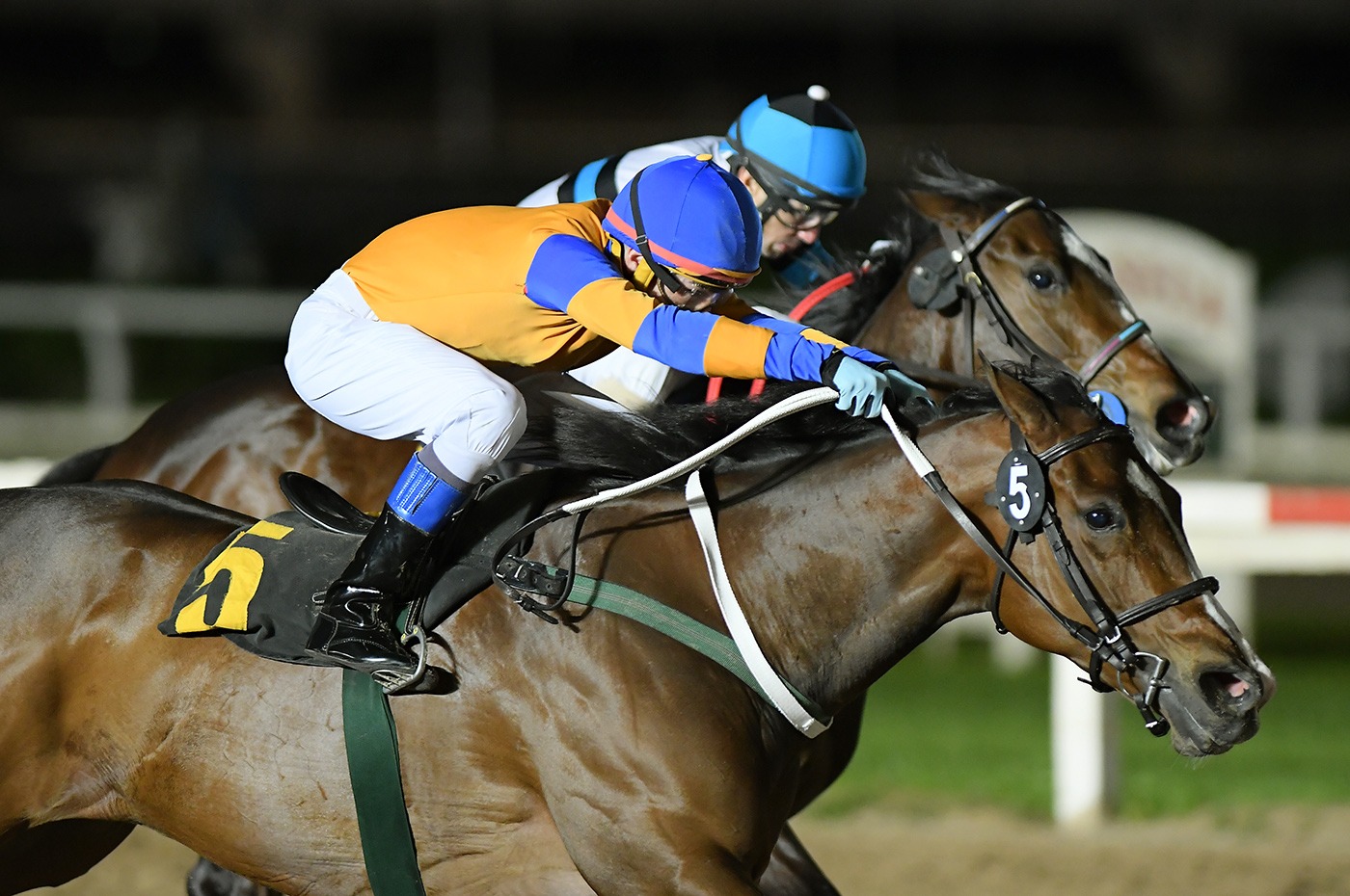 Mancoreña (A.P. Xcellent) se adjudica Condicional (1000m-Arena-PAL). - Staff ElTurf.com