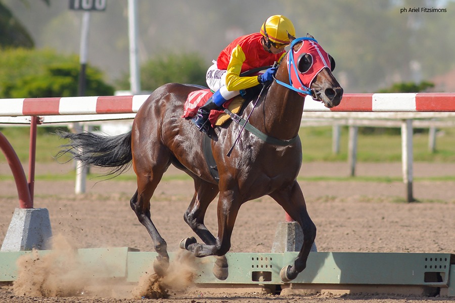 Combativo Bam (Bam Bam Bam) conquistó Condicional (1000m-Arena-LP). - Staff ElTurf.com