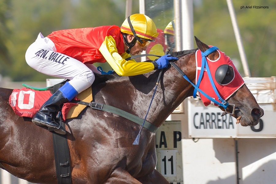 Combativo Bam (Bam Bam Bam) conquistó Condicional (1000m-Arena-LP). - Staff ElTurf.com