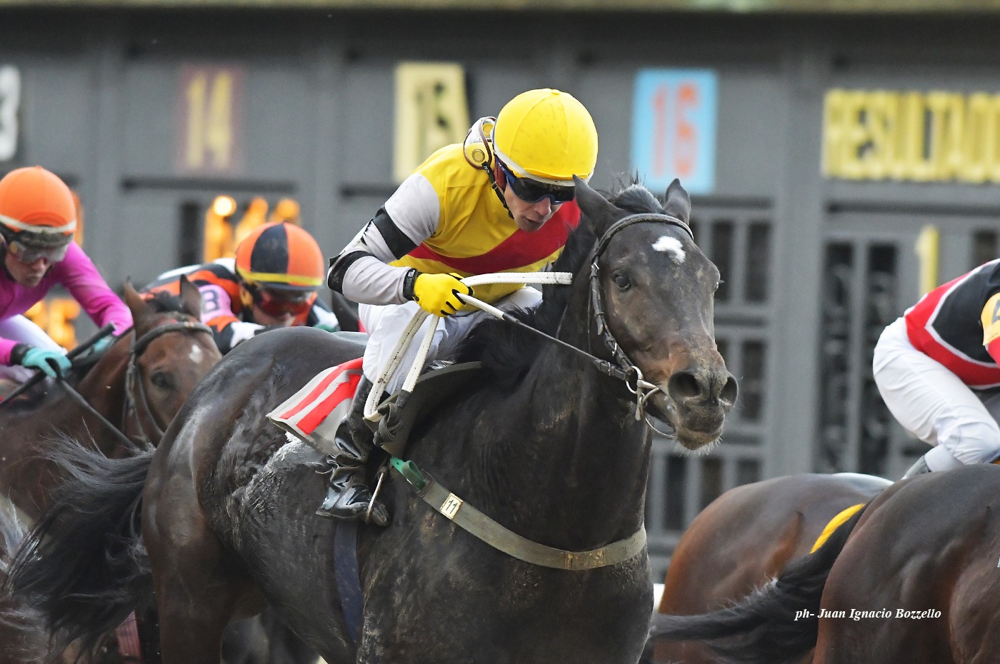 Little Vicky (T. H. Approval) se lleva Condicional (1400m-Arena-SI). - Staff ElTurf.com