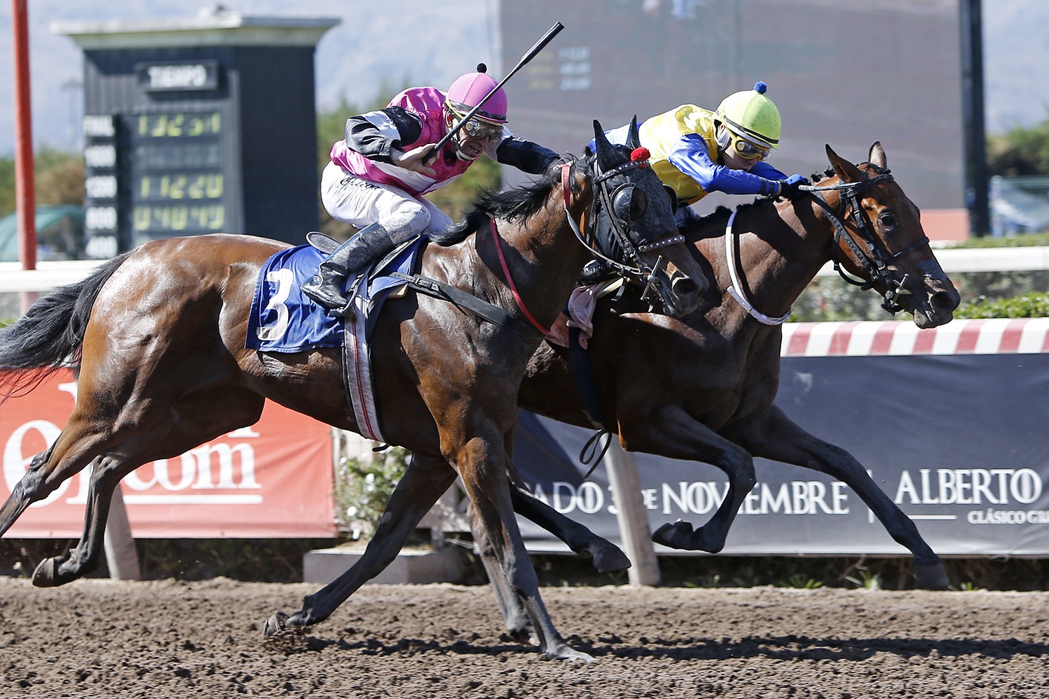 Silvia Ines (Indy Dancer) brilla en Condicional (1500m-Arena-HCH). - Staff ElTurf.com