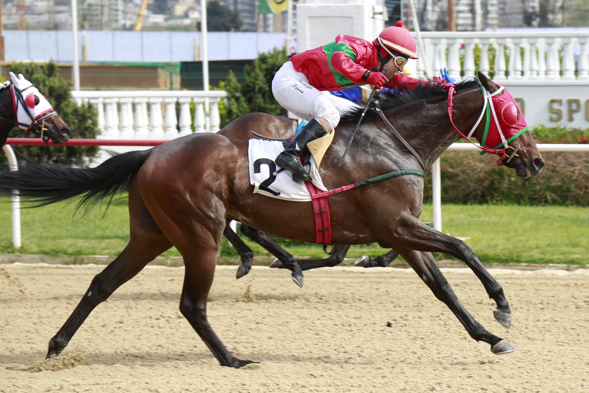 Hunter Valley (Newfoundland) se quedó con la victoria en Condicional (1100m-Arena-VSC). - Staff ElTurf.com