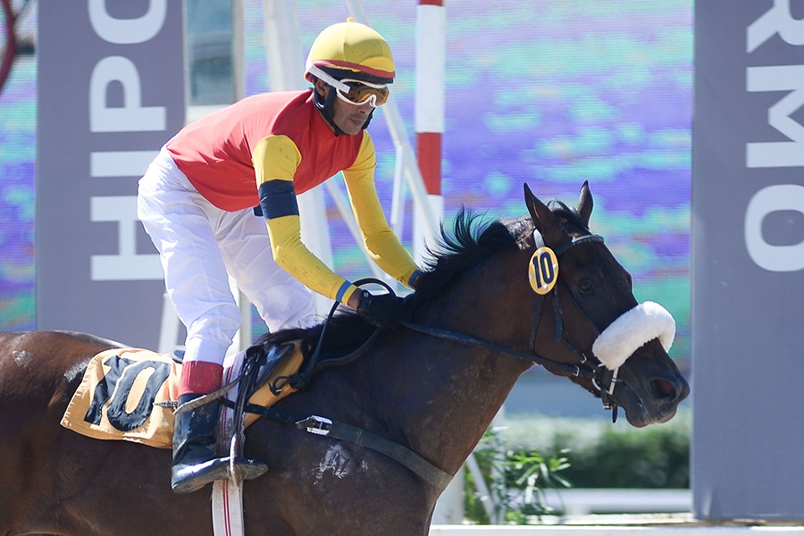 Dantalion (Mutakddim) se adjudicó Condicional (1400m-Arena-PAL). - Staff ElTurf.com