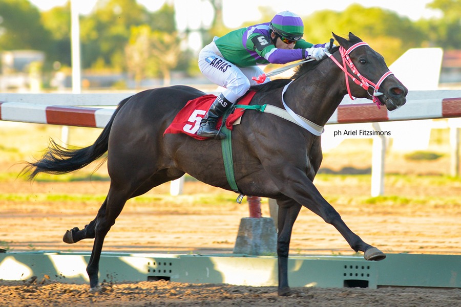 Racing Seattle (Seattle Fitz) se queda con el Clásico Amilcar A. Mercader (1000m-Arena-LP). - Staff ElTurf.com