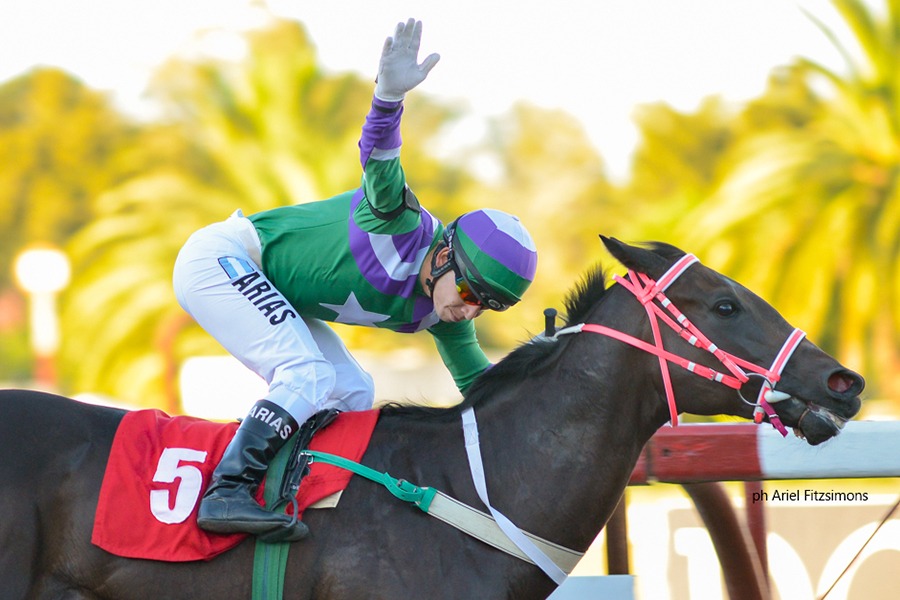 Racing Seattle (Seattle Fitz) se queda con el Clásico Amilcar A. Mercader (1000m-Arena-LP). - Staff ElTurf.com