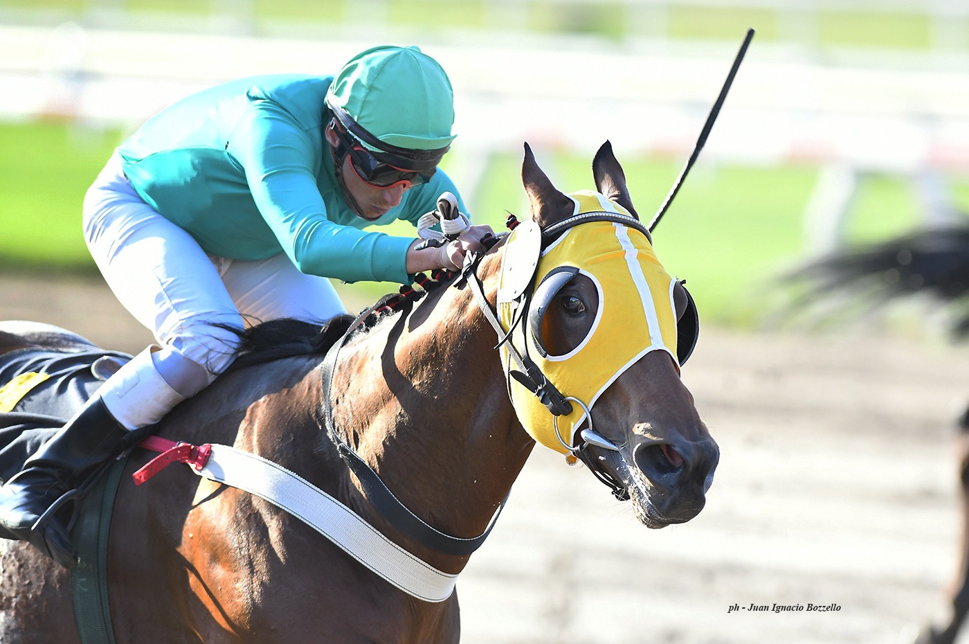 Teen Seattle (Seattle Fitz) se adjudica Condicional (1000m-Arena-PAL). - Staff ElTurf.com