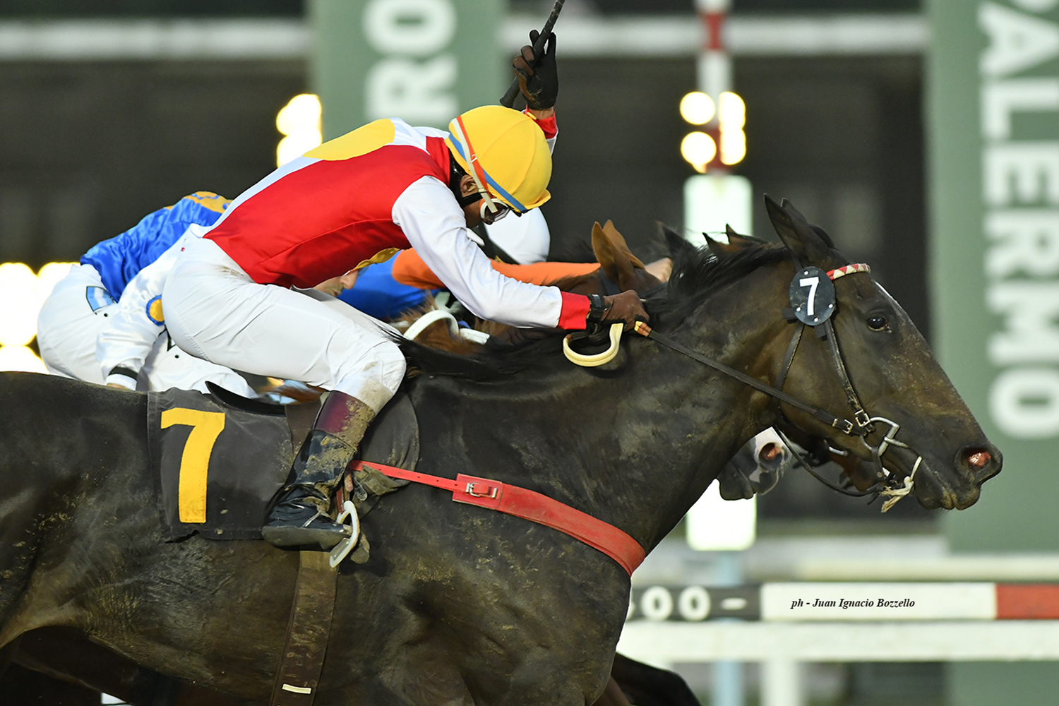 Joy Angus (Fortify) gana Condicional (1600m-Arena-PAL). - Staff ElTurf.com