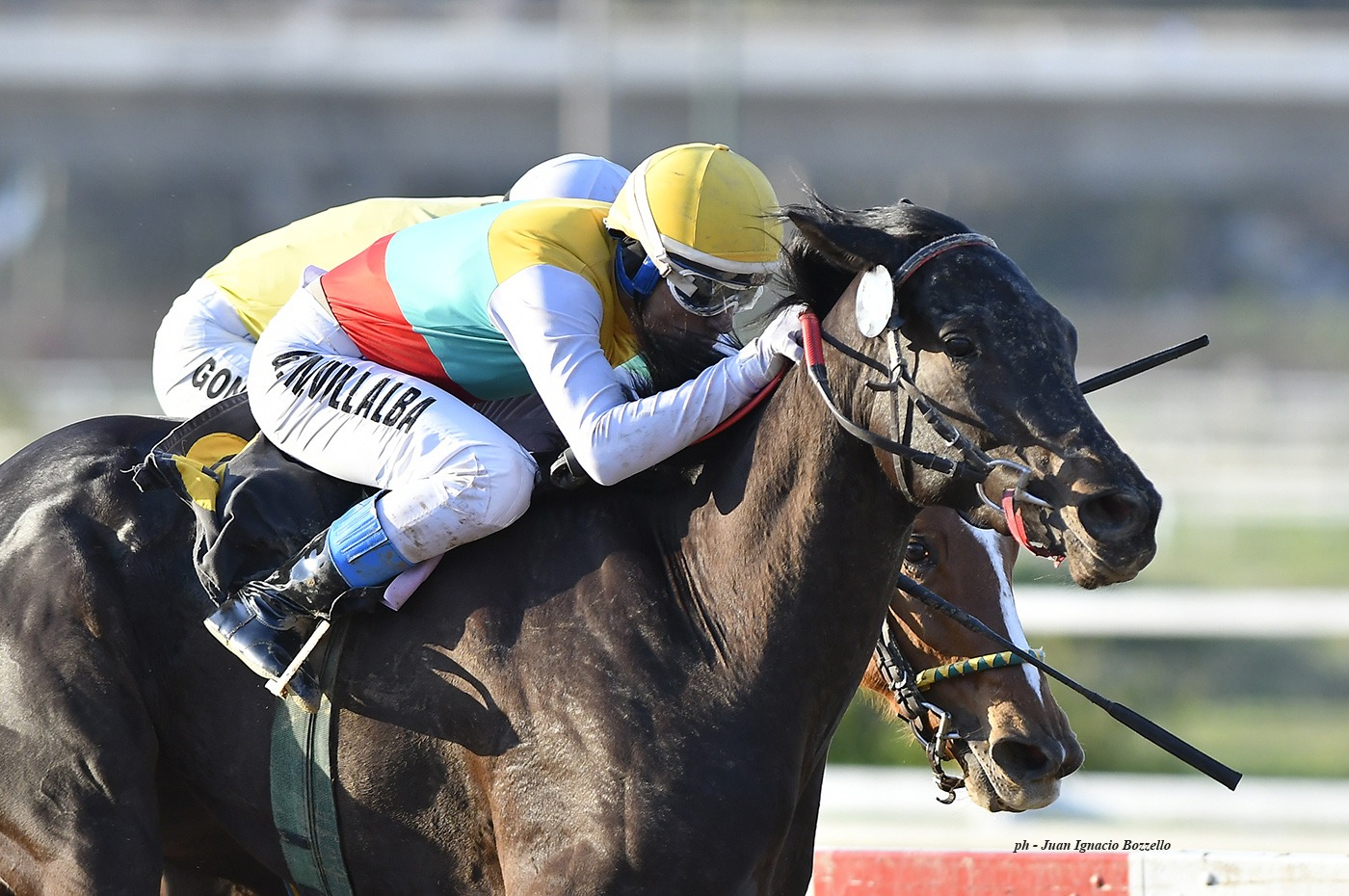 End Seattle (Seattle Fitz) se impuso en Condicional (2000m-Arena-PAL). - Staff ElTurf.com