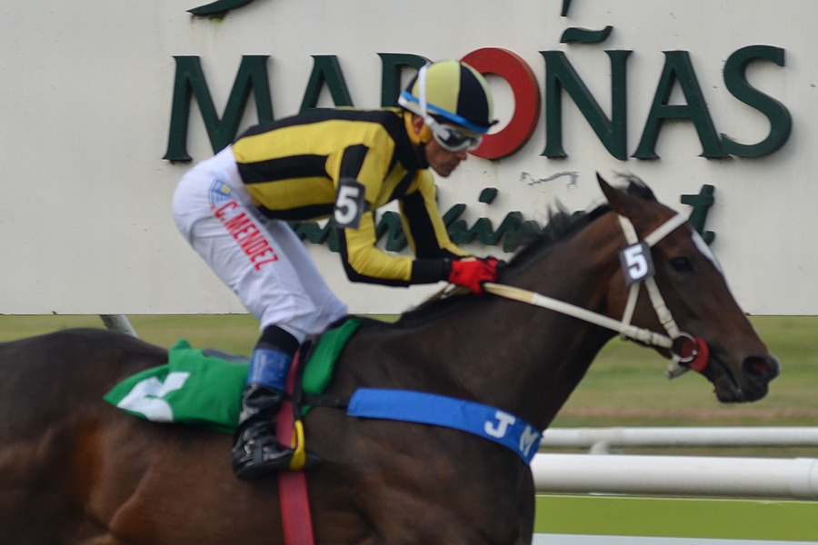 Inalcanzada (British Medium) se adjudica Handicap (1500m-Pasto-MAR). - Staff ElTurf.com