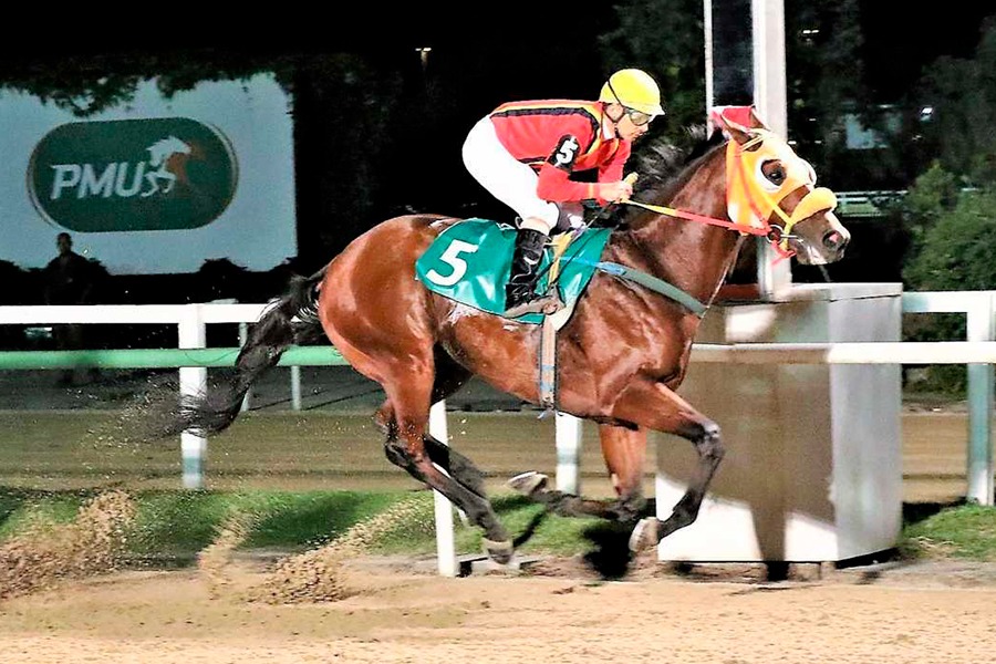 Noble Wells (Public Purse) se lleva Carrera de Reclamo (1400m-Arena-GAV). - Staff ElTurf.com