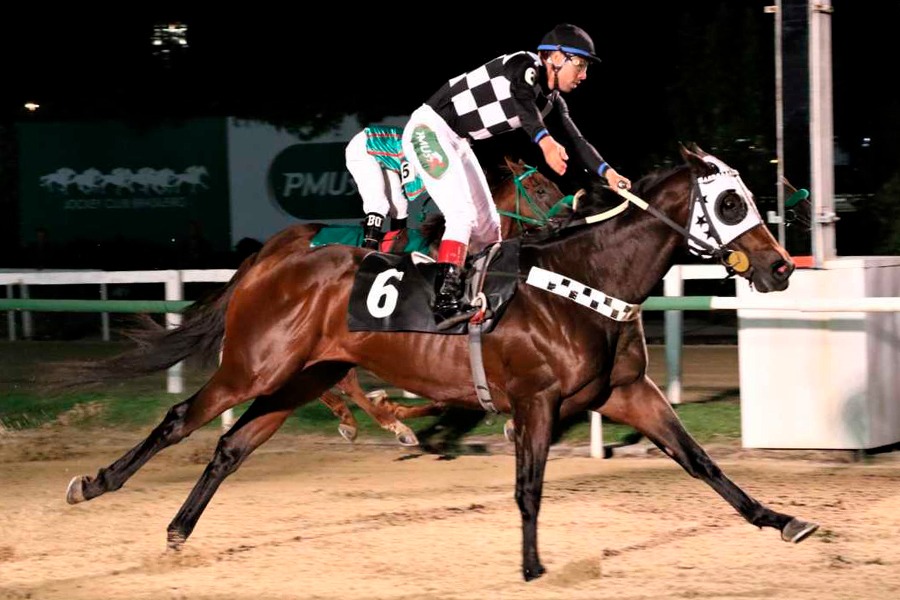 Amigo Purse (Amigoni) se adjudicó Condicional (1500m-Arena-GAV). - Staff ElTurf.com