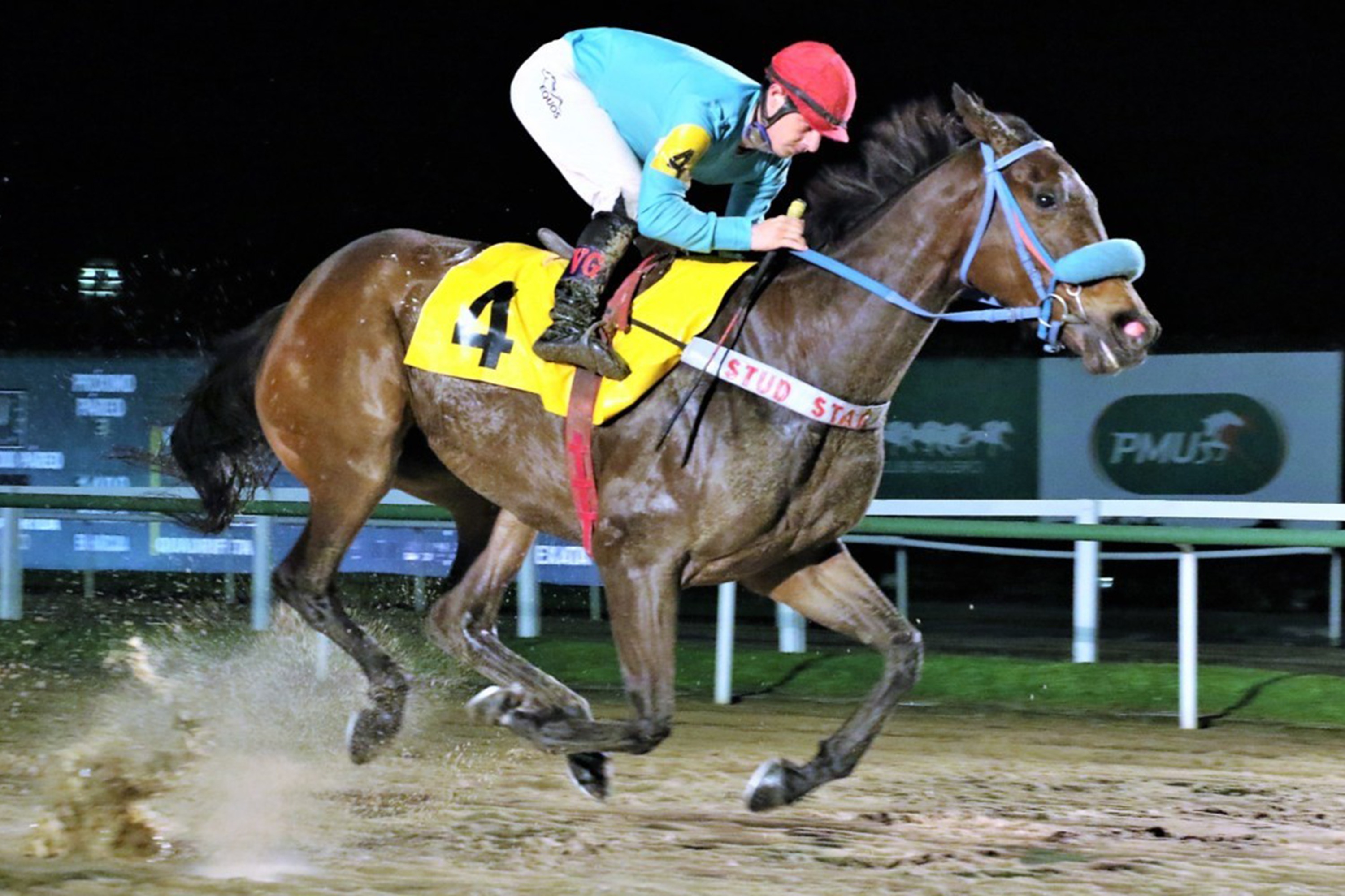 Jolie Angel (Rock of Gibraltar) se queda con Condicional (1400m-Arena-GAV). - Staff ElTurf.com