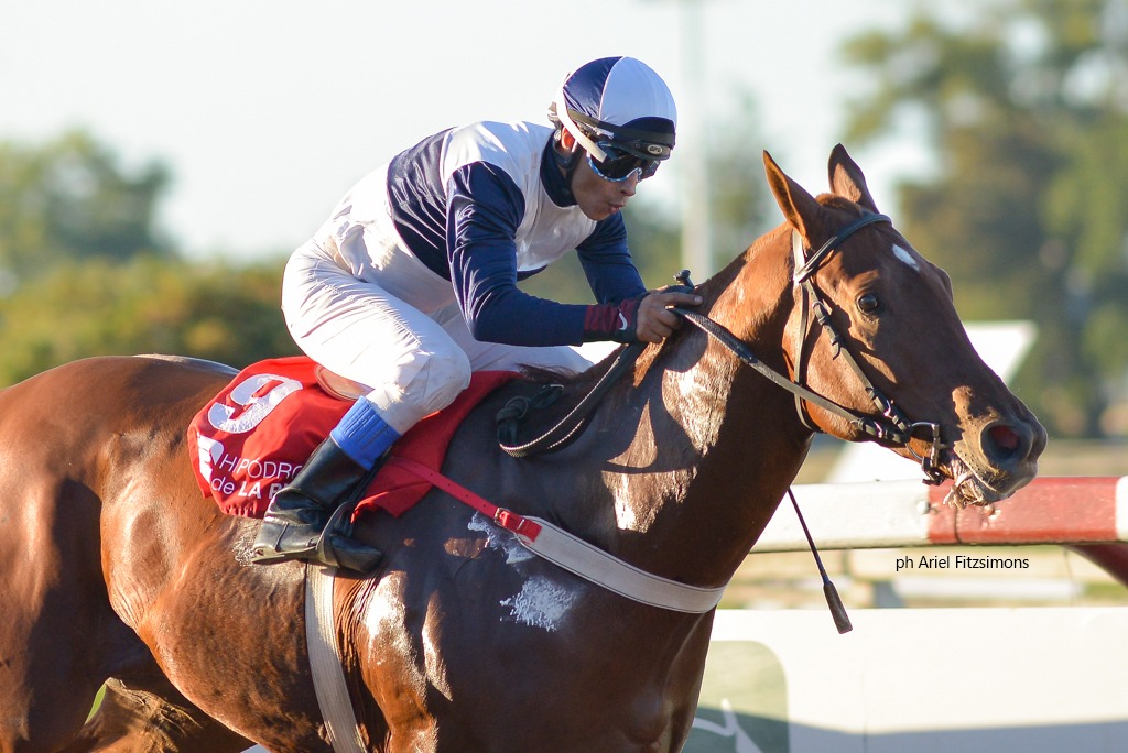 Soy Ligerito (El Copado) se adjudica Condicional (1000m-Arena-LP). - Staff ElTurf.com