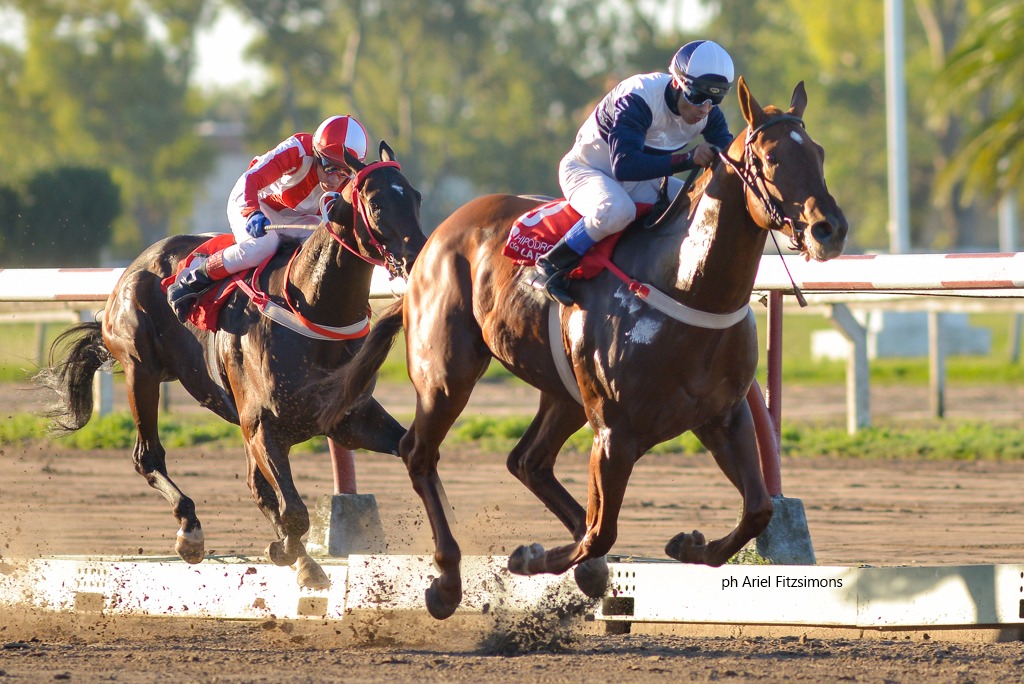 Soy Ligerito (El Copado) se adjudica Condicional (1000m-Arena-LP). - Staff ElTurf.com