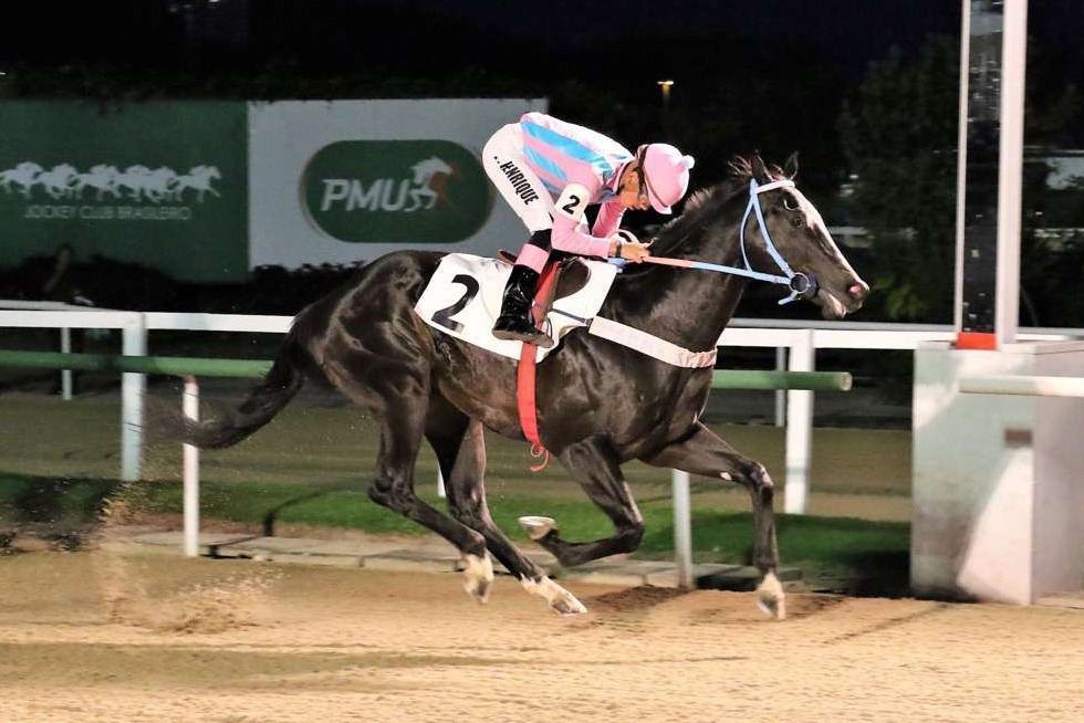 Firewhip (Shanghai Bobby) ganó Condicional (1400m-Arena-GAV). - Staff ElTurf.com