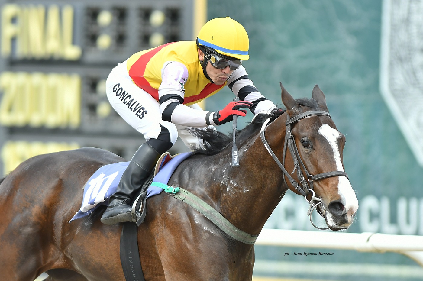Mando Bongo (Fusaichi Pegasus) se impuso en Condicional (1400m-Arena-SI). - Staff ElTurf.com