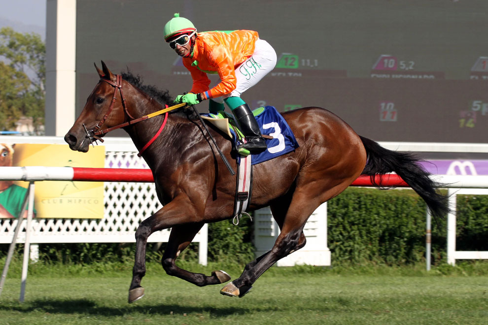 Jamas Te Olvidare (Stay Thirsty) brilló en Condicional (1200m-Pasto-CHS). - Staff ElTurf.com