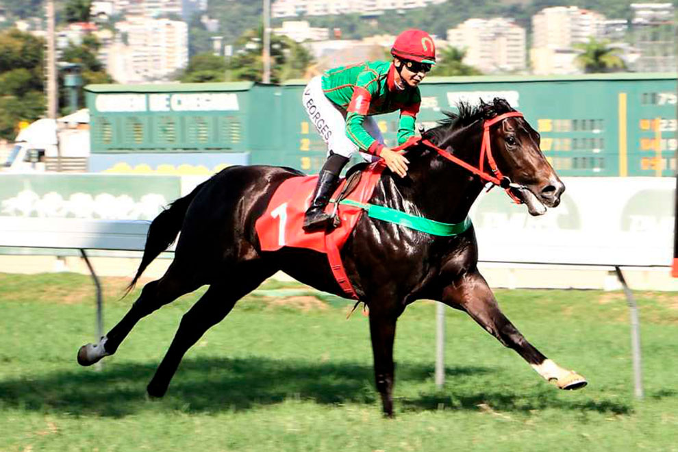 Guamirim (Hendrix) conquistó Condicional (1000m-Pasto-GAV). - Staff ElTurf.com