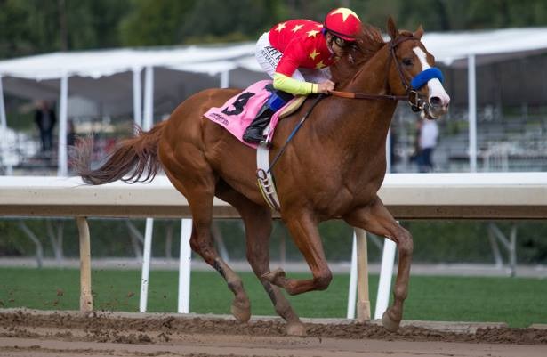 Foto: drf.com - Jaime Casas