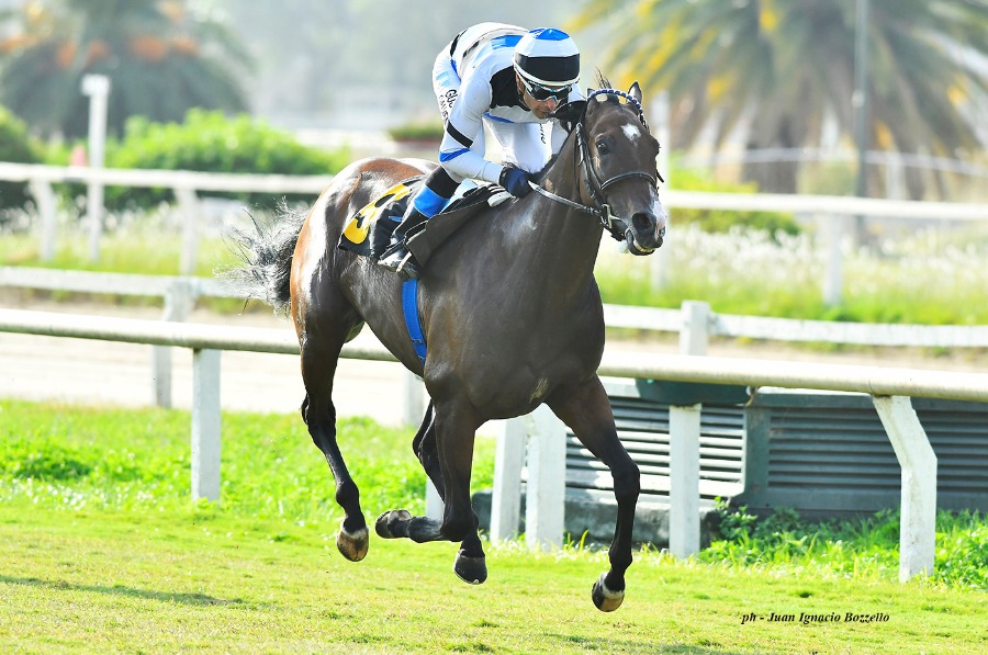 Foto: Juan Ignacio Bozzello - Juan Suchecki