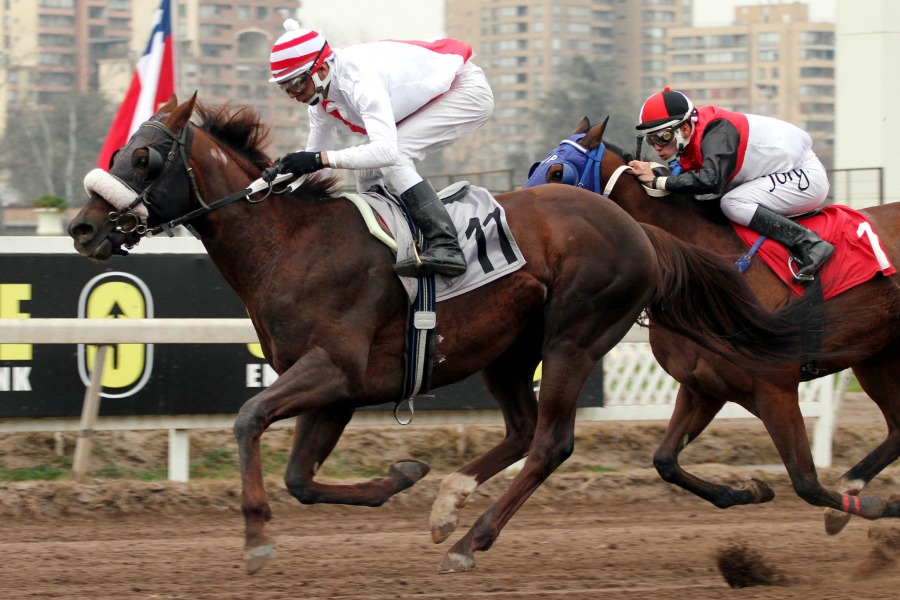 Foto: Juan V. Vergara - Sebastián Bravo