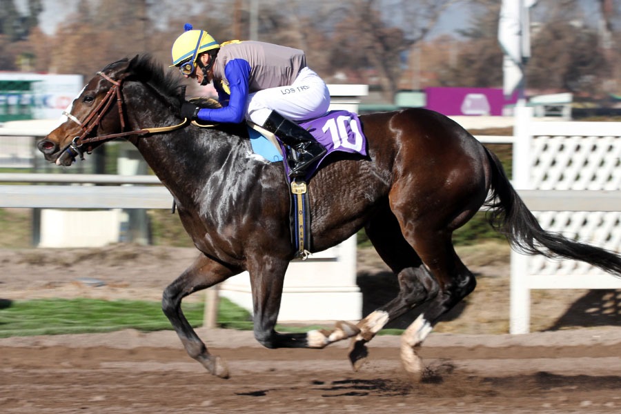 Foto: Juan V. Vergara - Sebastián Bravo