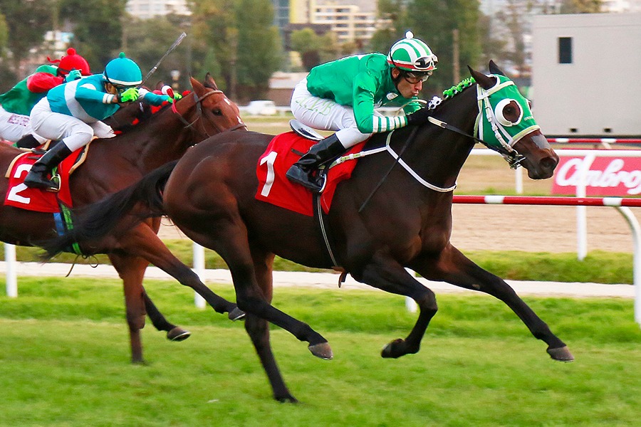Foto: Rafael Reyes R. - Sebastián Bravo L.