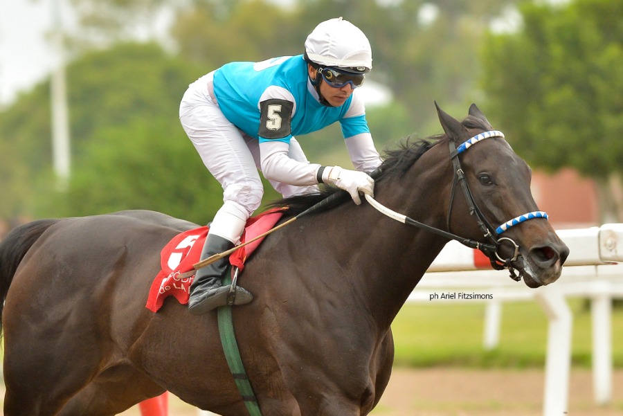 Interesantísima carrera para este lunes: todas con chance