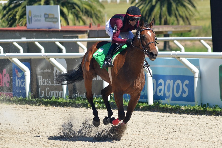 Foto: Helen Bentancor - Germán Boiso