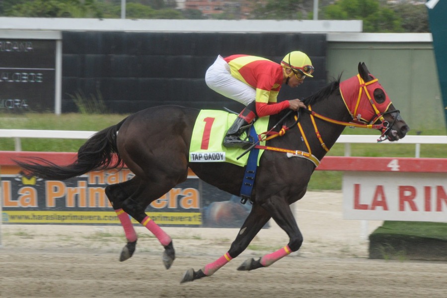 Tap Daddy luce gigante en el Clásico Copa de Oro