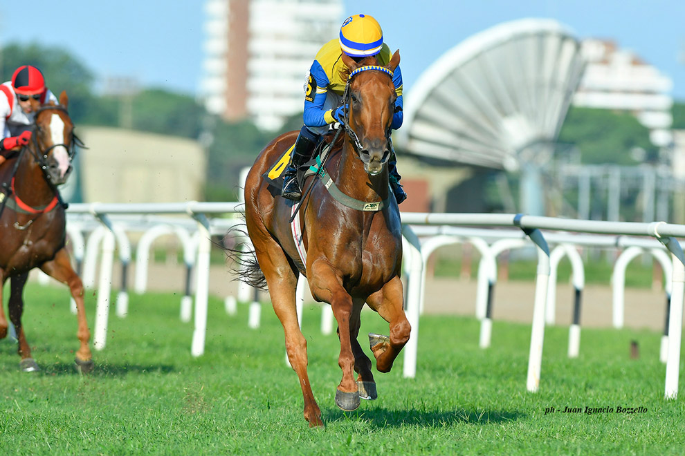 Little Gem busca la quinta consecutiva