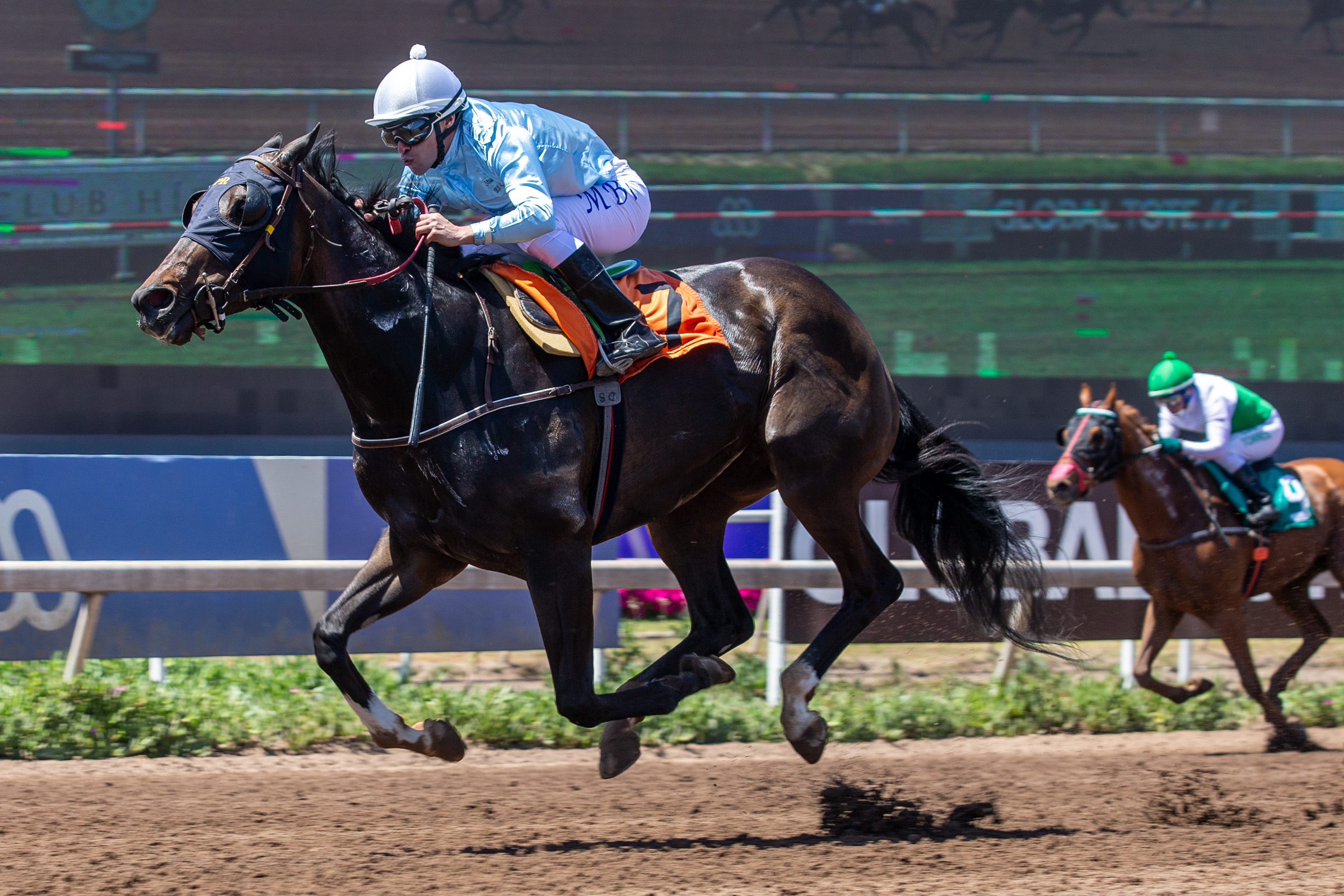 Perico Forever (Forever Thing) brilló en Handicap (1200m-Arena-CHS).